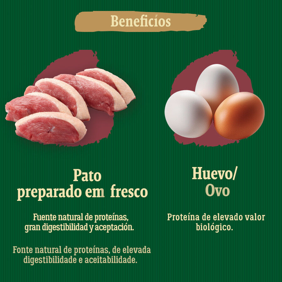 True Origins Wild Mini Lagoon ra&ccedil;&atilde;o de pato para c&atilde;es, , large Imagem n&uacute;mero 5