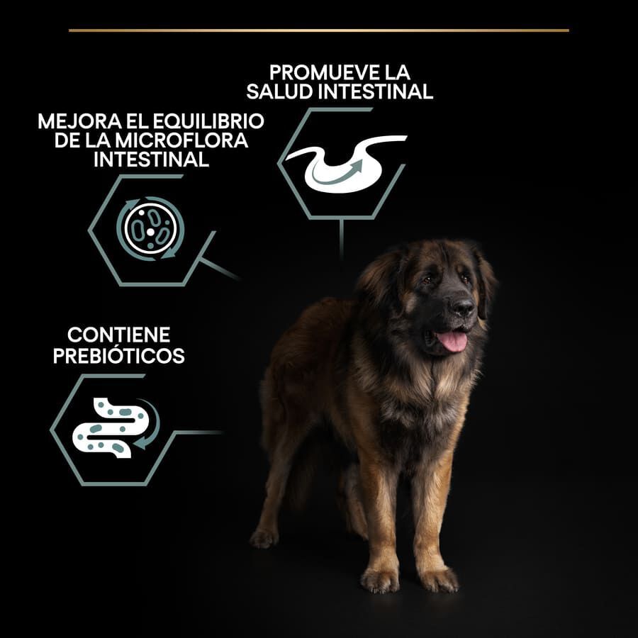14 kg Pro Plan Adult Large Robust Digest&atilde;o Cordeiro ra&ccedil;&atilde;o para c&atilde;es, , large Imagem n&uacute;mero 3