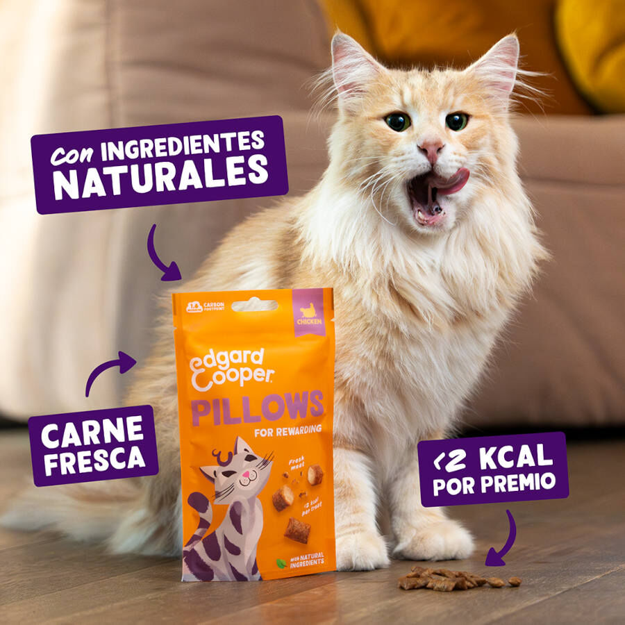 60 g Edgard & Cooper Pillows Snack de frango para gatos, , large Imagem n&uacute;mero 2
