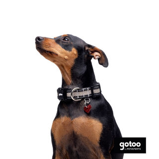 Gotoo Coleira mesh cinza para cães