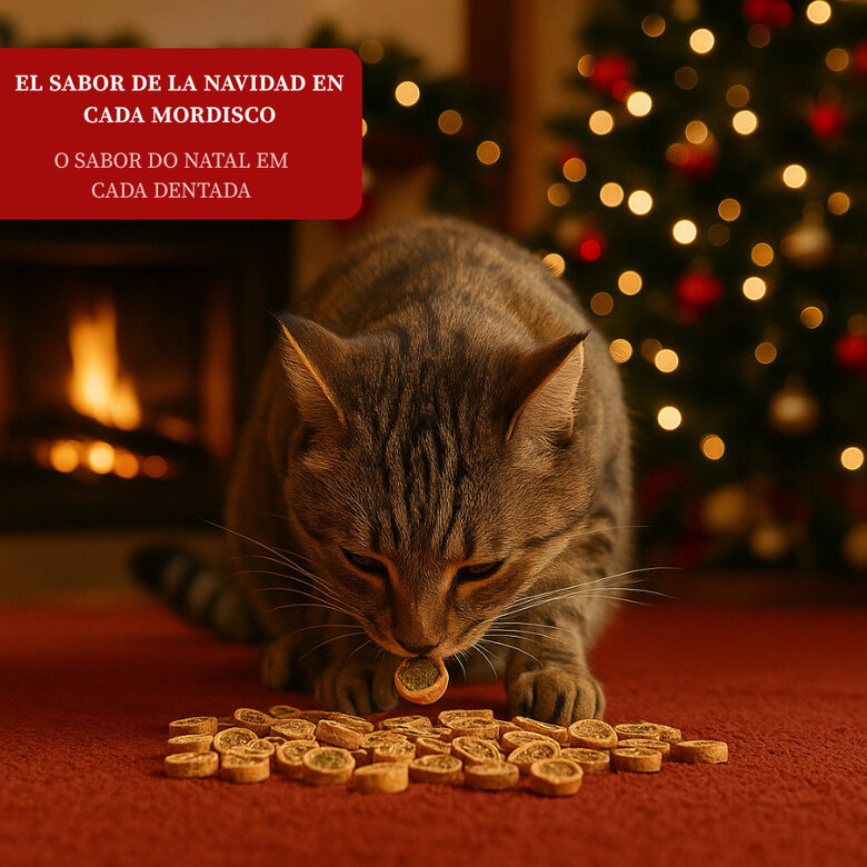 50 g Wonder Christmas Caixa de Petiscos de Natal para gatos,  Imagem número 4 50 g Wonder Christmas Caixa de Petiscos de Natal para gatos, , large Imagem número 4
