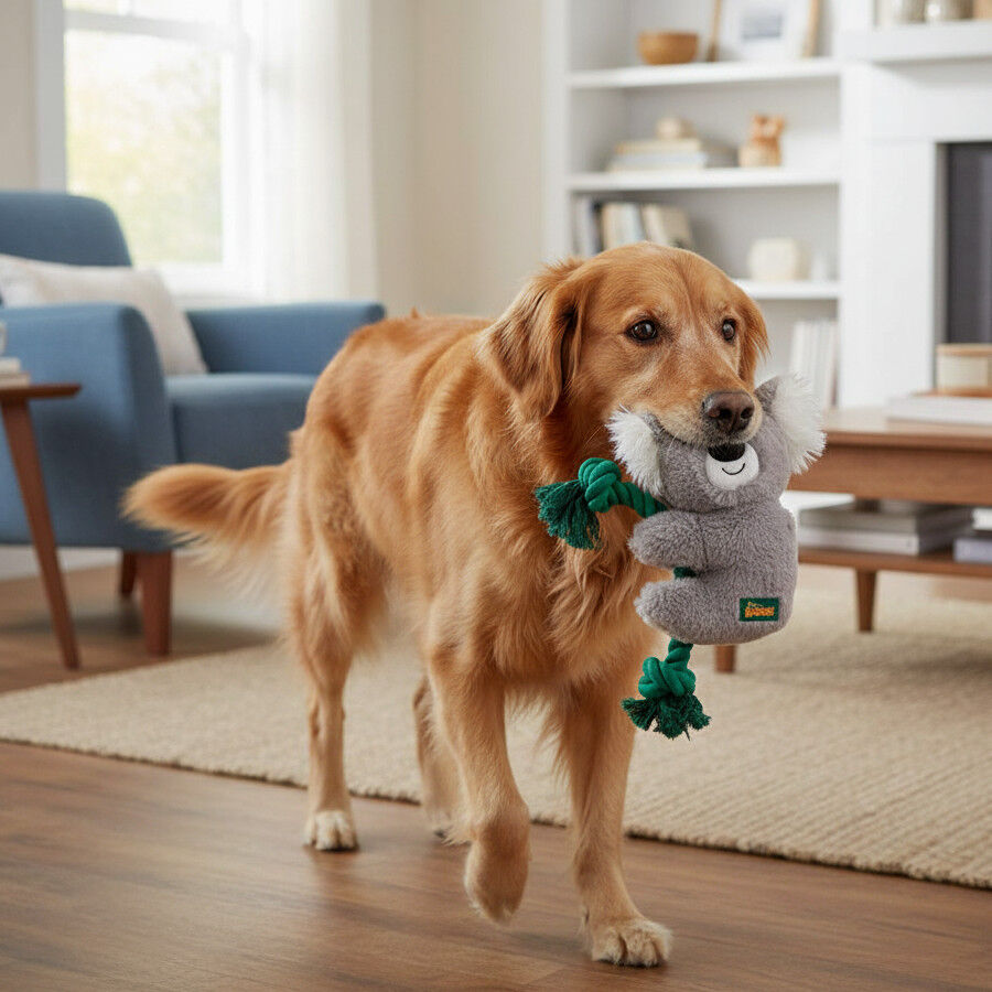 All For Paws Safari Cuddle Koala com corda Brinquedo para c&atilde;es, , large Imagem n&uacute;mero 1