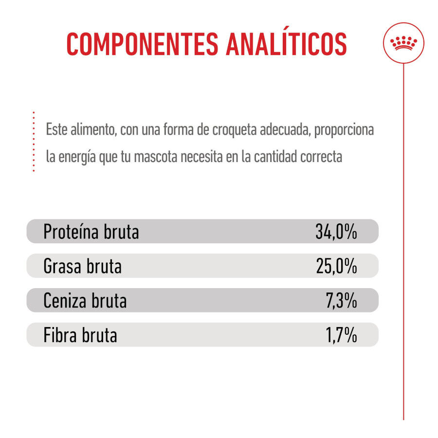 10 kg Royal Canin Mother & Baby ra&ccedil;&atilde;o para gatos, , large Imagem n&uacute;mero 9