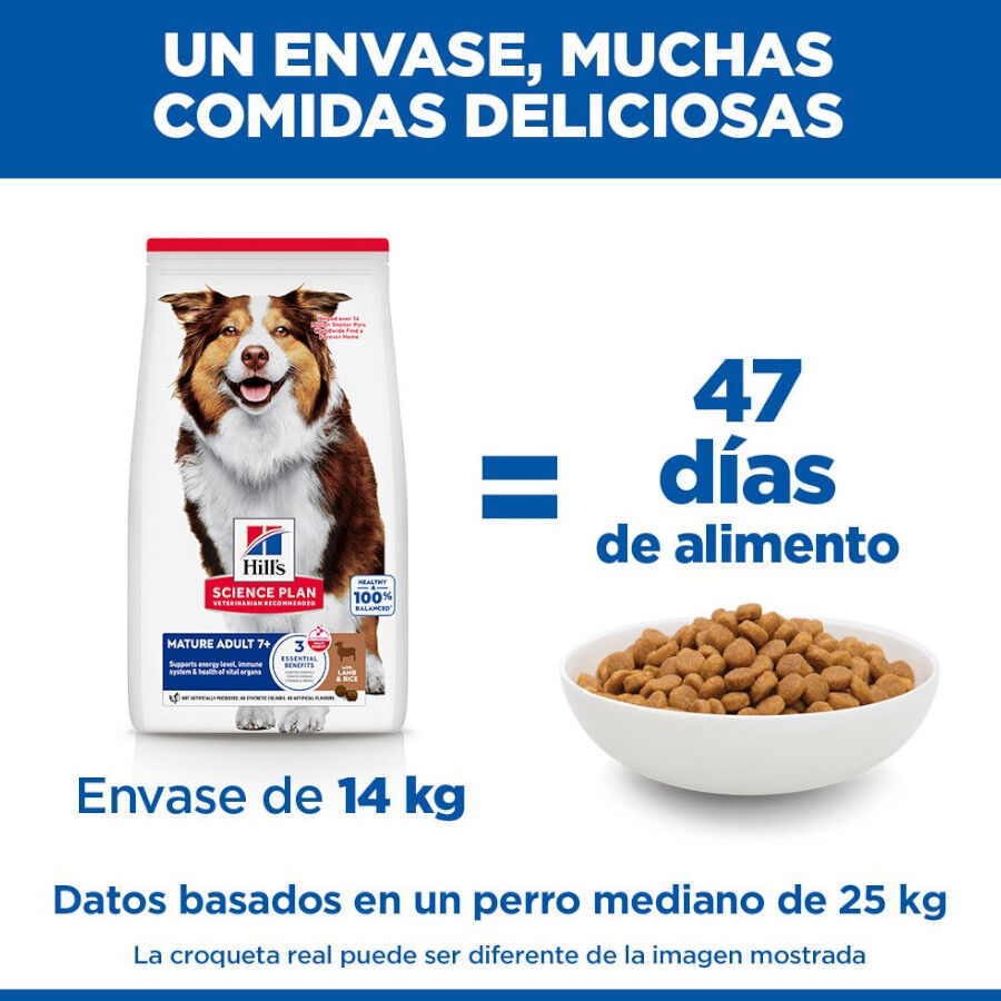 14 kg Hill's Science Plan Medium Mature Adult Cordeiro ra&ccedil;&atilde;o para c&atilde;es, , large Imagem n&uacute;mero 6