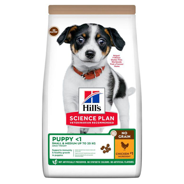 Hill's Science Plan Puppy Small & Medium Ra&ccedil;&atilde;o de frango para cachorros, , large Imagem n&uacute;mero 2