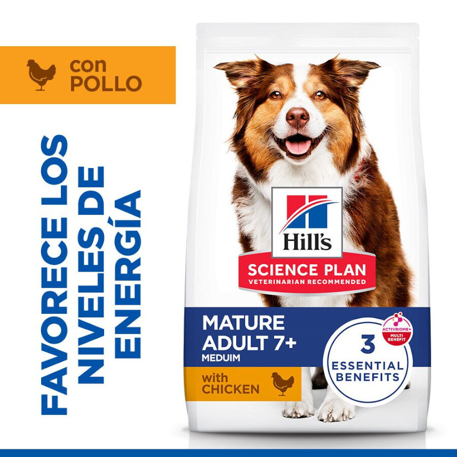2 x 14 kg Hill's Science Plan Medium Mature Adult Frango ra&ccedil;&atilde;o para c&atilde;es Pack poupan&ccedil;a!, , large Imagem n&uacute;mero 2