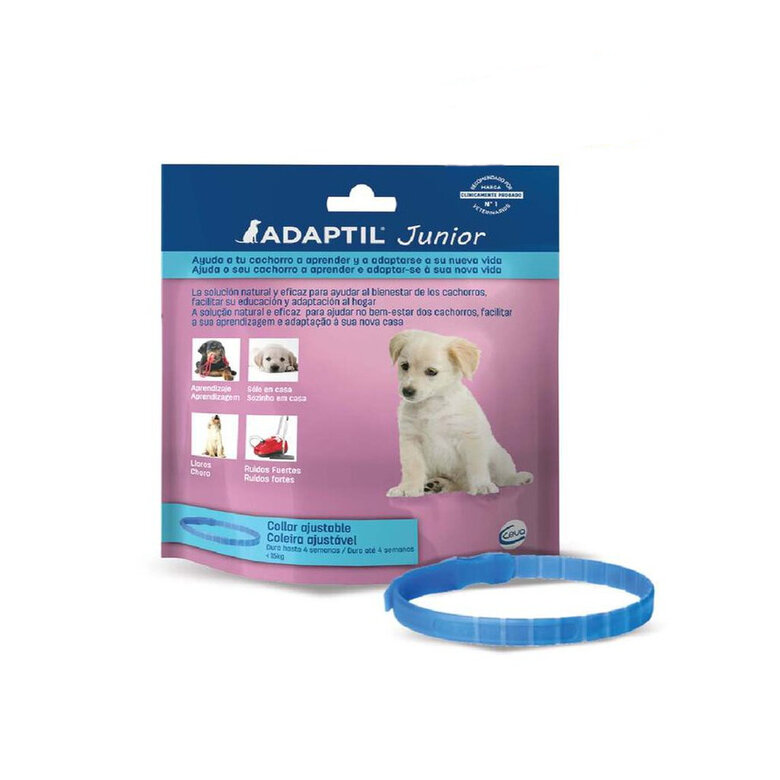 Adaptil Junior Coleira Anti-stress para cães,  Imagem número 1 Adaptil Junior Coleira Anti-stress para cães, , large Imagem número 1