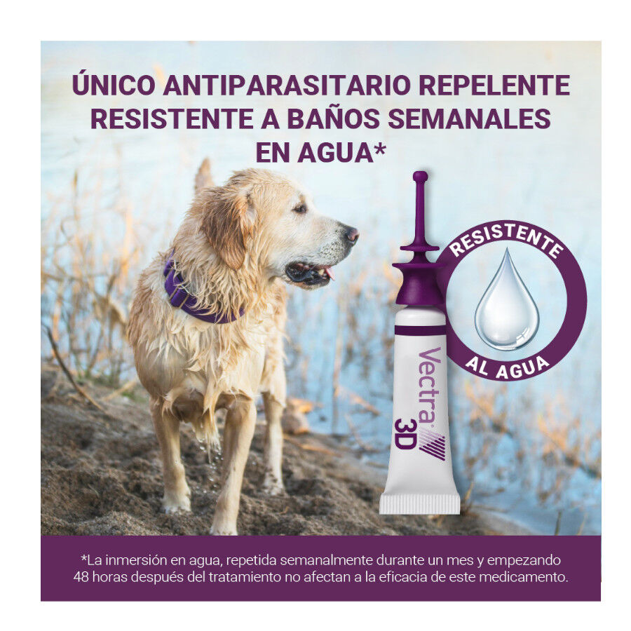 Vectra 3D Pipetas Antiparasit&aacute;rias para c&atilde;es, , large Imagem n&uacute;mero 10