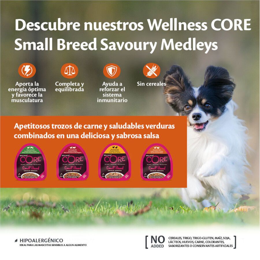 85 g Wellness Core Small Breed Grain Free Frango e Pato terrina para c&atilde;es, , large Imagem n&uacute;mero 3