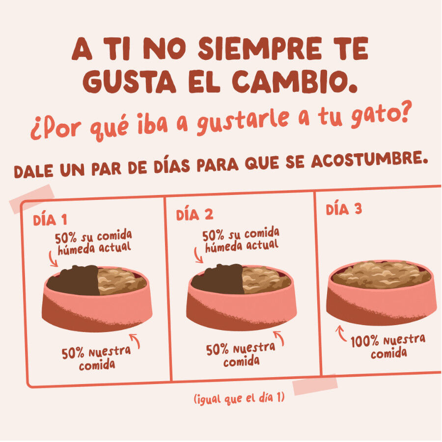 85 g Edgard & Cooper Trucha y Pollo sobre en salsa para gatos, , large Imagem n&uacute;mero 9