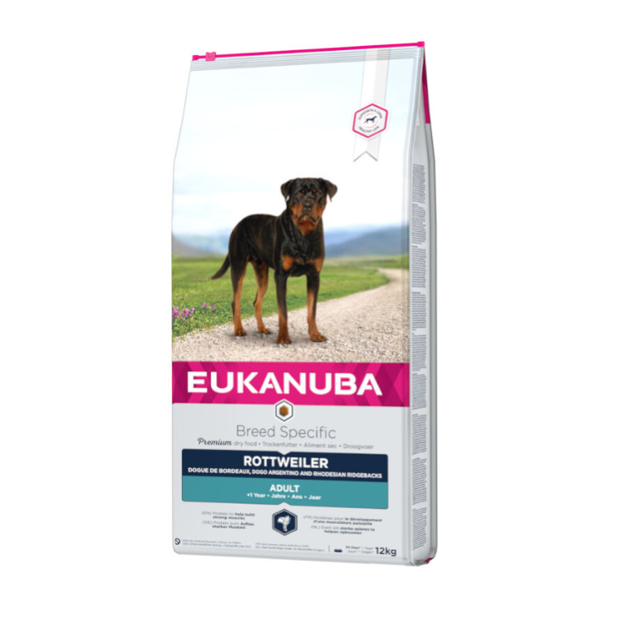 12 kg Eukanuba Adult Rottweiler ra&ccedil;&atilde;o para c&atilde;es, , large Imagem n&uacute;mero 1