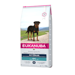 Eukanuba Adult Rottweiler ração para cães