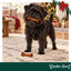 1 pack x 2 uns. Wonder Christmas Dupla de Ossos de Couro Prensado Snacks para C&atilde;es, , large Indicador imagem n&uacute;mero 2