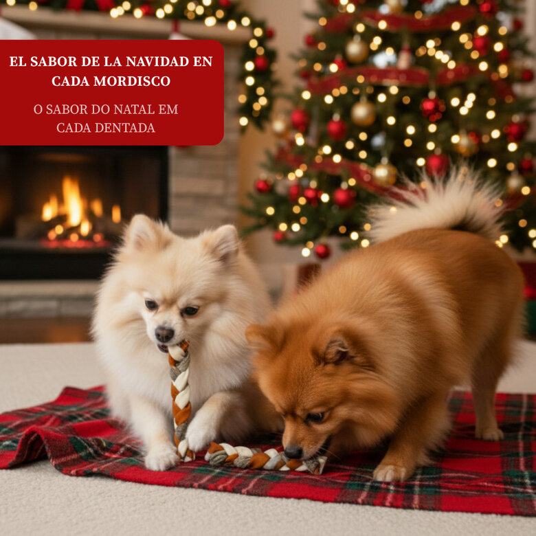 2 sticks Wonder Christmas Snacks de Pele de Peixe para cães,  Imagem número 4 2 sticks Wonder Christmas Snacks de Pele de Peixe para cães, , large Imagem número 4