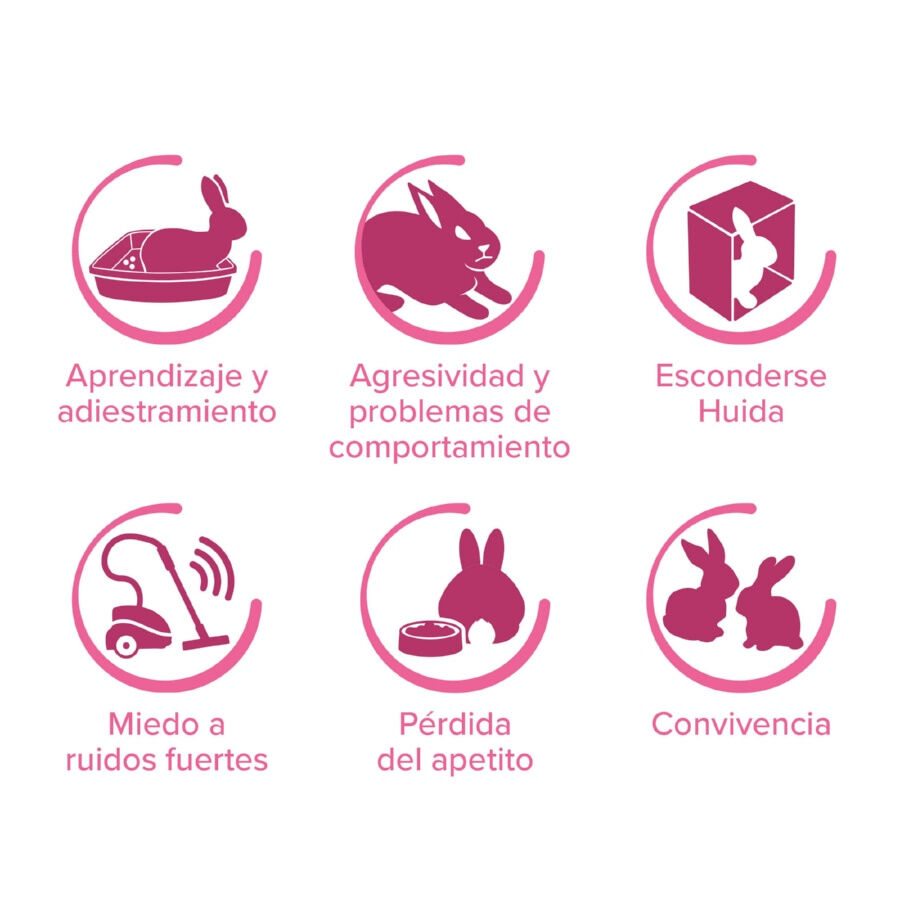 Beaphar RabbitComfort Difusor e recarga para coelhos, , large Imagem n&uacute;mero 4