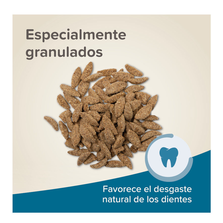 Beaphar Care+ ra&ccedil;&atilde;o para chinchilas, , large Imagem n&uacute;mero 6