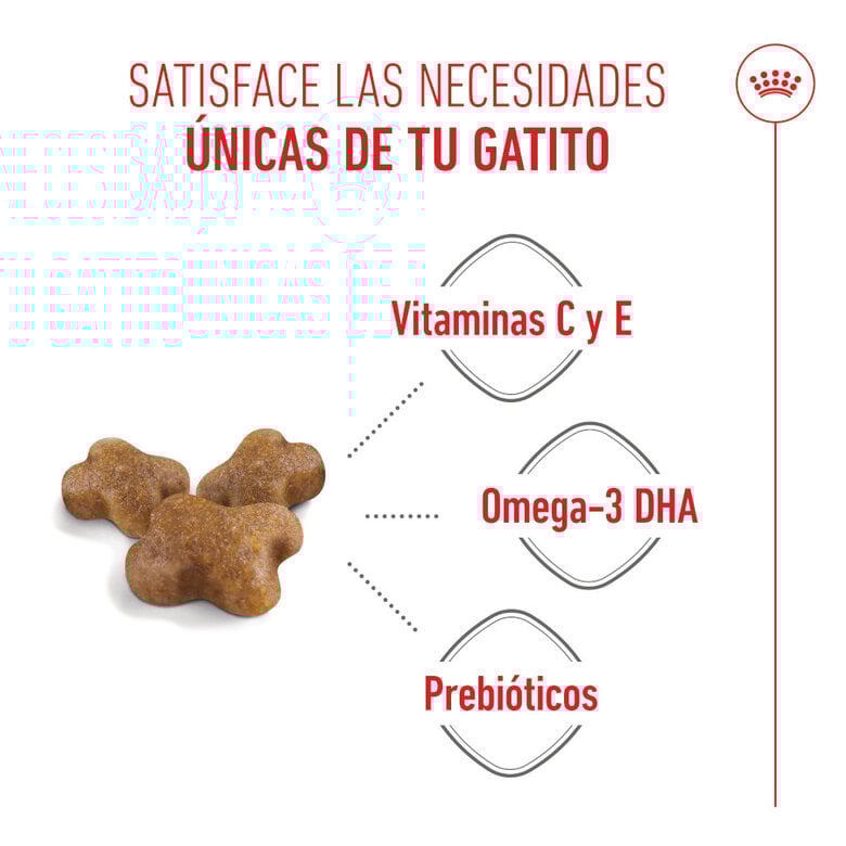 10 kg Royal Canin Kitten ração para gatos,  Imagem número 3 10 kg Royal Canin Kitten ração para gatos, , large Imagem número 3