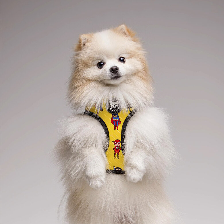 Dukier Superdog Peitoral reversível com estampado Super-Heróis para cães,  Imagem número 2 Dukier Superdog Peitoral reversível com estampado Super-Heróis para cães, , large Imagem número 2