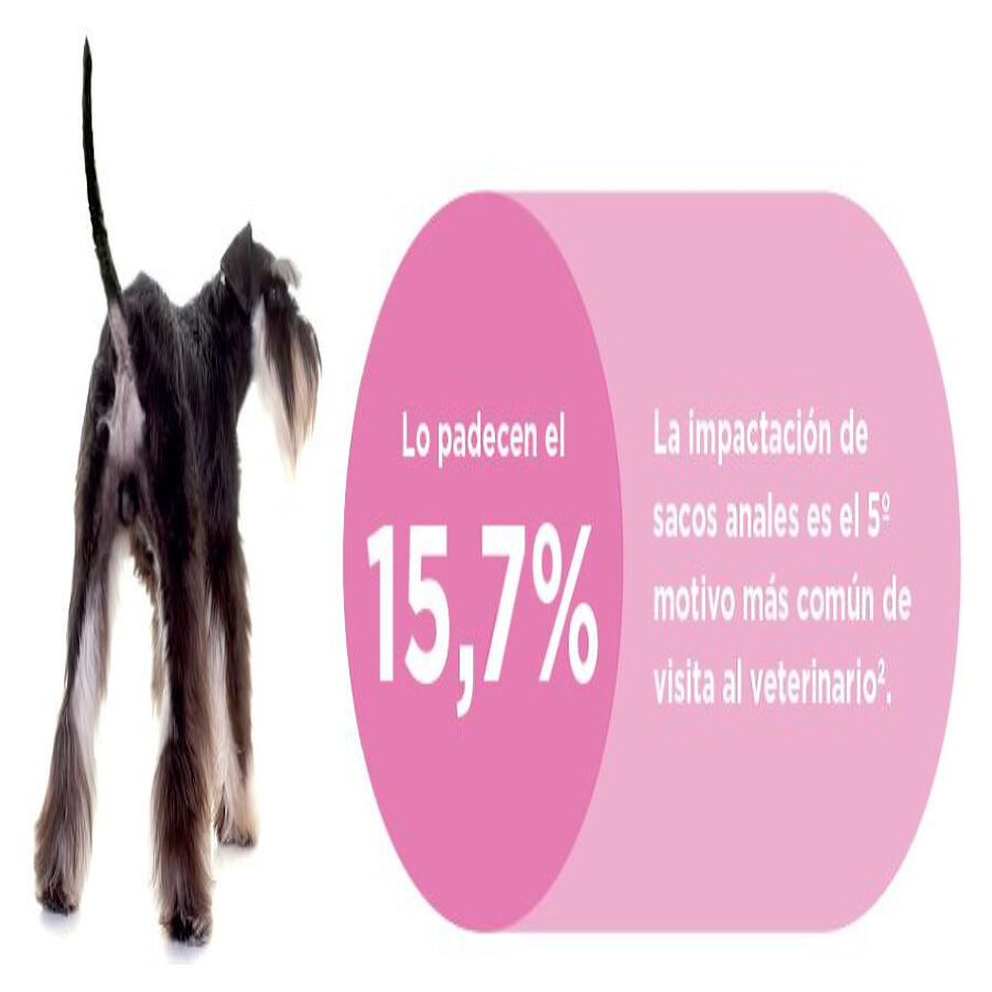 Ecuphar Proglan Suplemento em comprimidos para c&atilde;es, , large Imagem n&uacute;mero 3