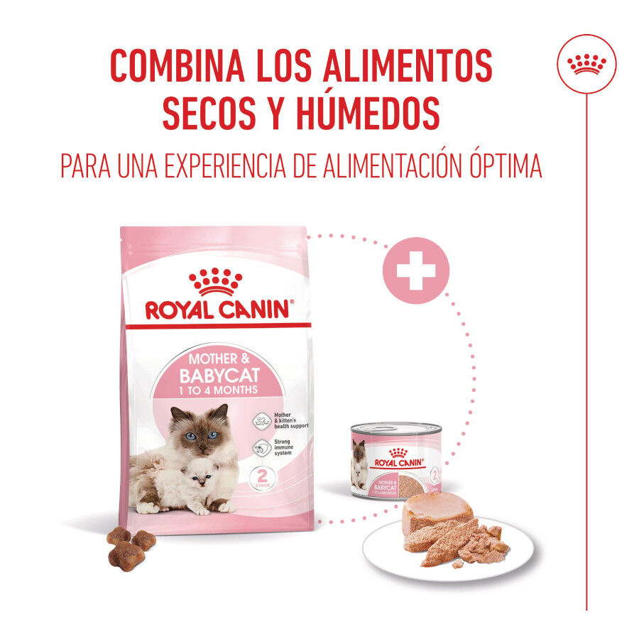 10 kg Royal Canin Mother & Baby ra&ccedil;&atilde;o para gatos, , large Imagem n&uacute;mero 6
