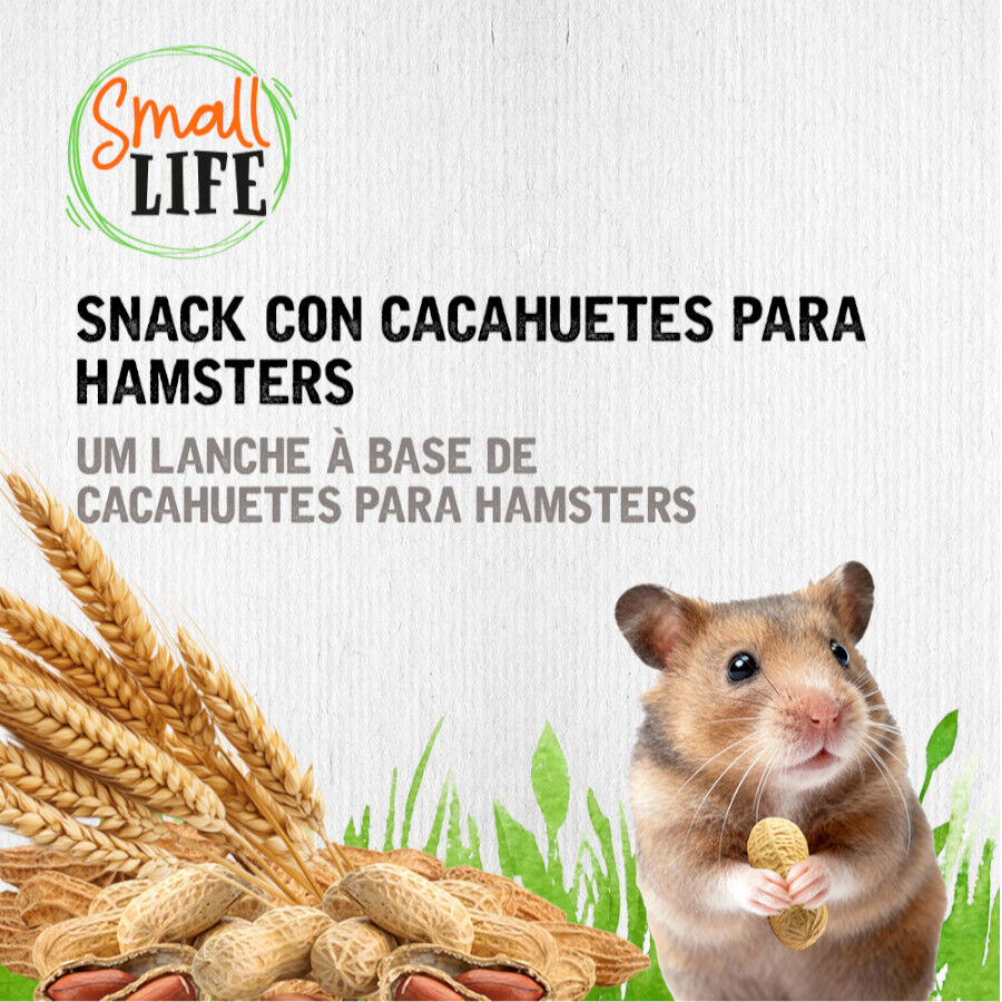 2 barritas Small Life Barritas Snack com Amendoins para hamsters, , large Imagem n&uacute;mero 4