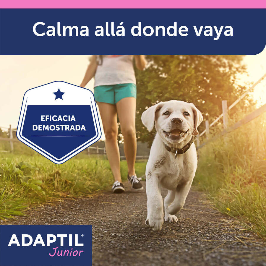 Adaptil Junior Coleira Anti-stress para c&atilde;es, , large Imagem n&uacute;mero 8