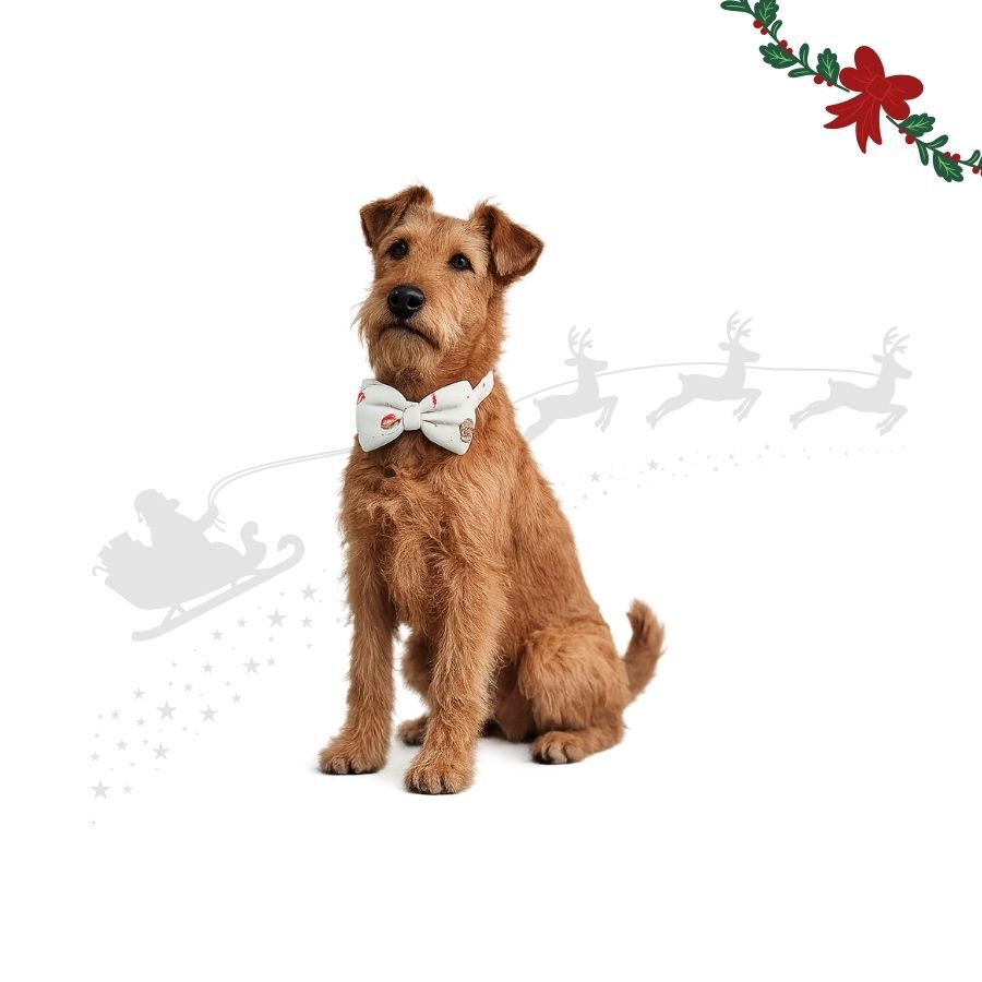 Wonder Christmas La&ccedil;o de Natal para c&atilde;es, , large Imagem n&uacute;mero 1