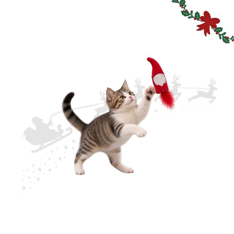 Wonder Christmas Teaser Pai Natal Brinquedo para gatos, , large Imagem n&uacute;mero 1