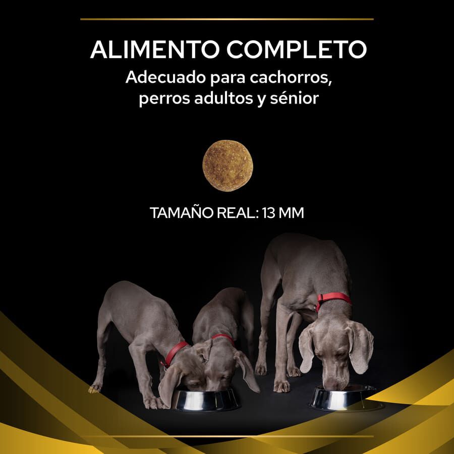 2 x 12 kg Pro Plan Veterinary Diets Joint Mobility JM ra&ccedil;&atilde;o para c&atilde;es Pack poupan&ccedil;a!, , large Imagem n&uacute;mero 3