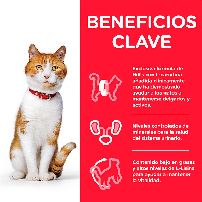 Hill's Young Adult Science Plan Sterilised Atum ração para gatos, , large image number null