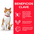 Hill's Young Adult Science Plan Sterilised Atum ração para gatos, , large image number null