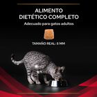 Pro Plan Veterinary Diets Diabetes Management ração para gatos, , large image number null
