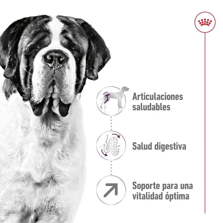 Royal Canin Adult Giant ração para cães, , large image number null