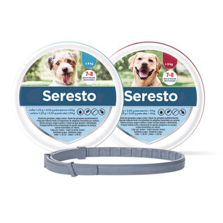 Seresto Coleira antiparasitária para cães