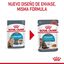 85 g Royal Canin Urinary Care Adult Saqueta em molho para gatos, , large Indicador imagem número 3