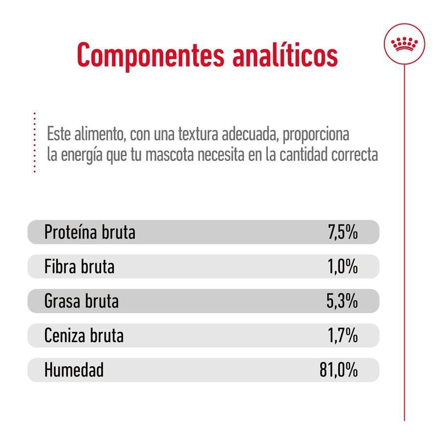 140 g Royal Canin Maxi Adult Carne saquetas em molho para c&atilde;es, , large Imagem n&uacute;mero 8