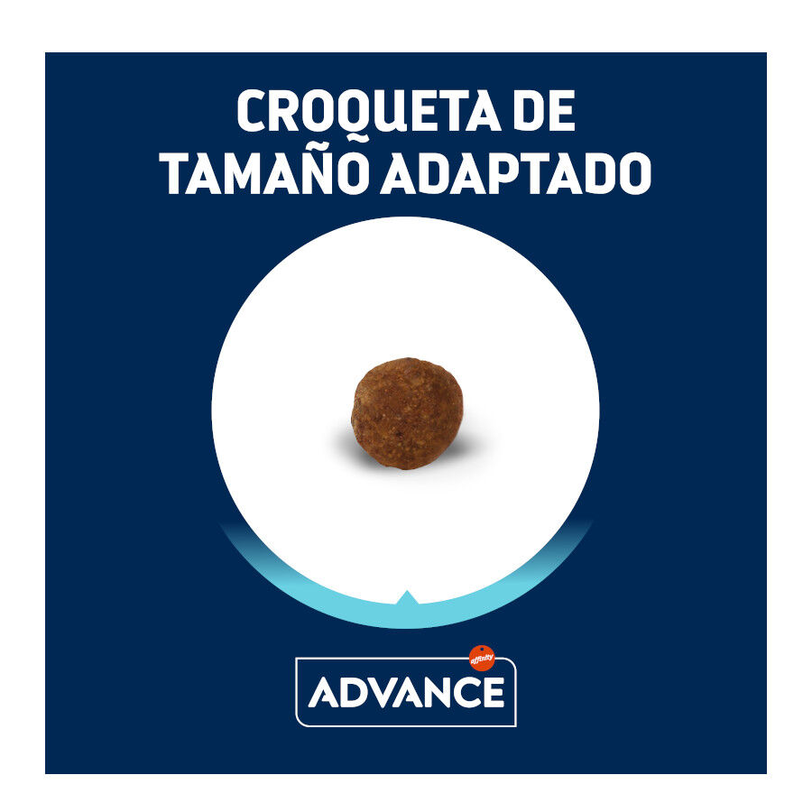 1.5 kg Advance Active Defense Yorkshire Terrier Adult Frango e Arroz ra&ccedil;&atilde;o para c&atilde;es, , large Imagem n&uacute;mero 3