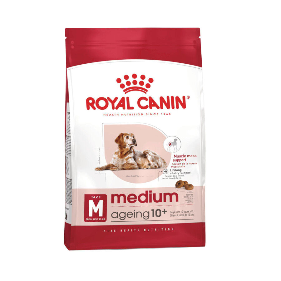 13 kg (10 + 3 kg &iexcl;gratis!) Royal Canin Medium Ageing +10 Ra&ccedil;&atilde;o para c&atilde;o, , large Imagem n&uacute;mero 1