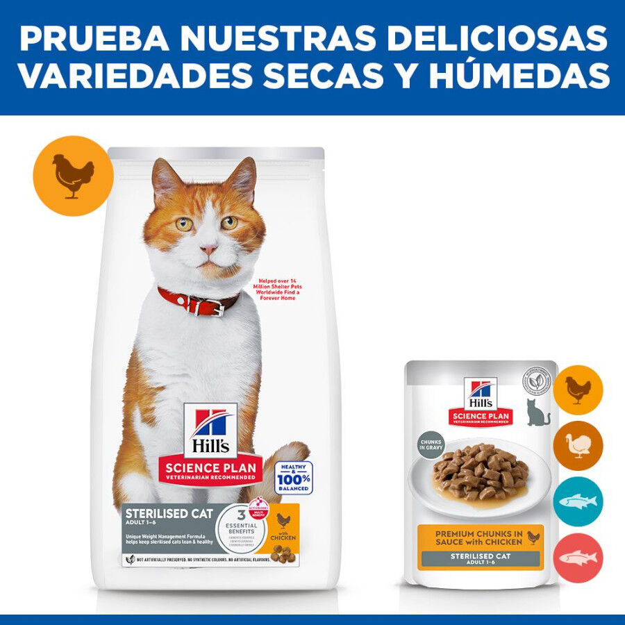 2 x 7 kg Hill's Science Plan Sterilised Adult Frango ra&ccedil;&atilde;o para gatos Pack poupan&ccedil;a!, , large Imagem n&uacute;mero 8