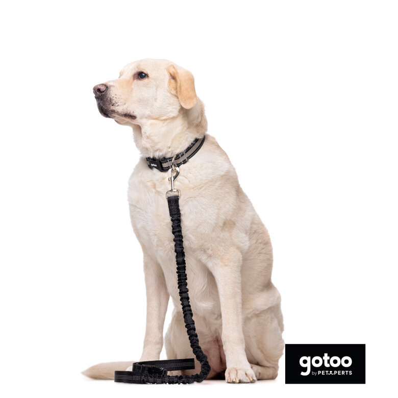 Gotoo Trela dupla para cães,  Imagem número 3 Gotoo Trela dupla para cães, , large Imagem número 3