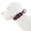 TK-Pet Neo Classic collar perro nylon neopreno morado Indicador imagem número 1