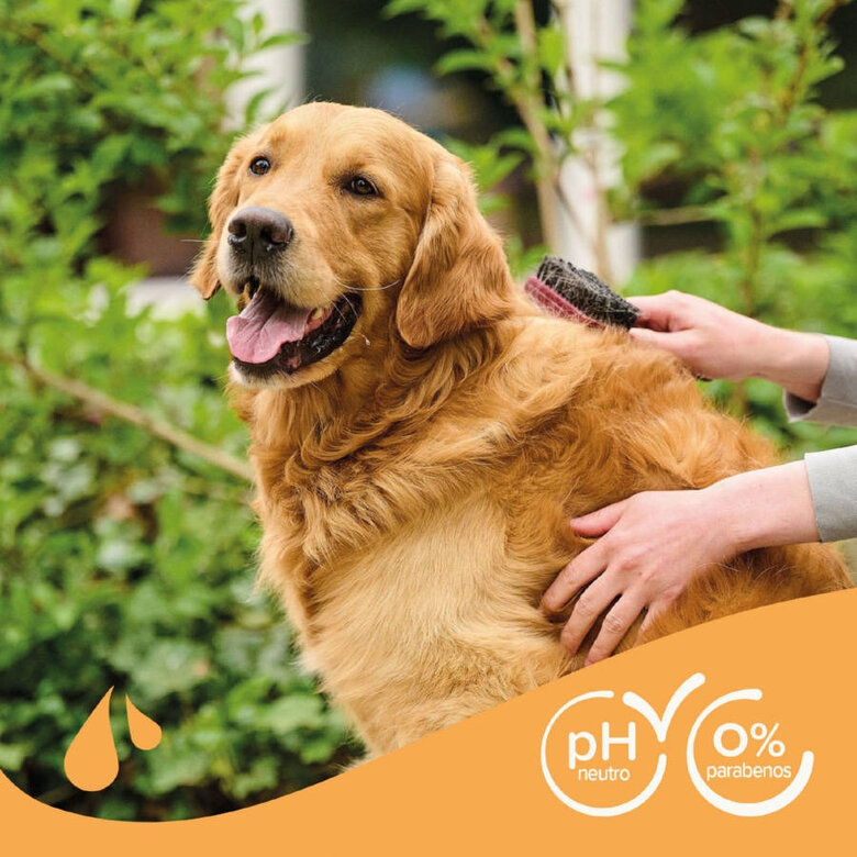 Beaphar Pelo Castanho Champô para cães, , large image number null