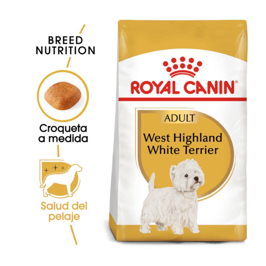 Royal Canin Adult White Terrier West Highland ra&ccedil;&atilde;o para c&atilde;es, , large Imagem n&uacute;mero 2