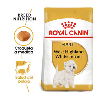 Royal Canin Adult White Terrier West Highland ração para cães