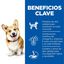 Hills Adult Small y Mini Science Plan Cordeiro ração para cães, , large Indicador imagem número 4