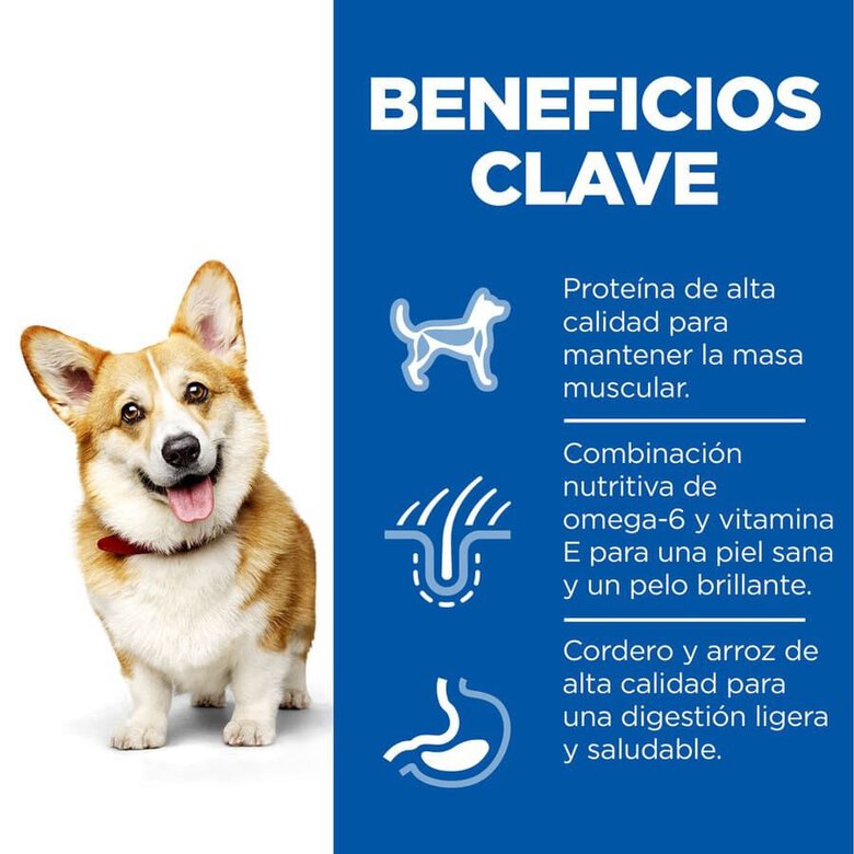 1.5 kg Hills Adult Small y Mini Science Plan Cordeiro ração para cães,  Imagem número 4 1.5 kg Hills Adult Small y Mini Science Plan Cordeiro ração para cães, , large Imagem número 4