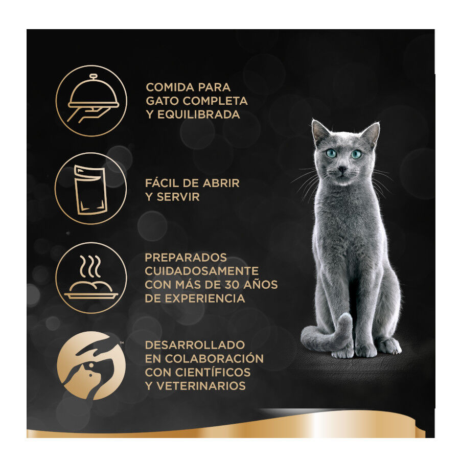 44 terrinas x 85 g Sheba Finesse Comida h&uacute;mida Pat&eacute; de Frango e Salm&atilde;o em terrina para gatos, , large Imagem n&uacute;mero 3