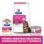 12 saquetas x 85 g Hill's Prescription Diet Feline GI Biome Digestive Care Frango e Legumes em molho Saqueta, , large Indicador imagem número 4
