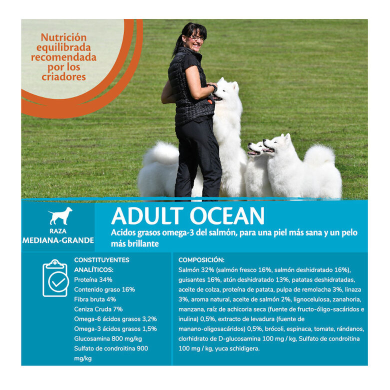 Wellness Core Adult Medium/Large Ocean Salmão e Atum ração para cães , , large image number null