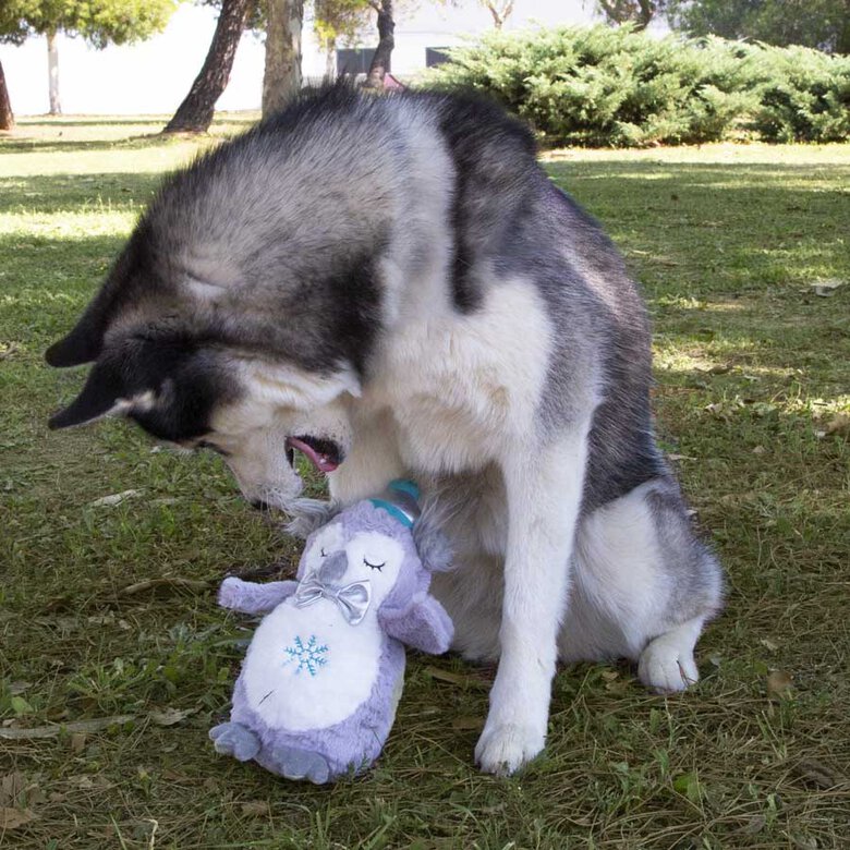 Wonder Christmas Coruja Polar de peluche de Natal para cães ,  Imagem número 3 Wonder Christmas Coruja Polar de peluche de Natal para cães , , large Imagem número 3